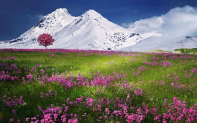 泉州心理医生.jpg 泉州心理医生.jpg